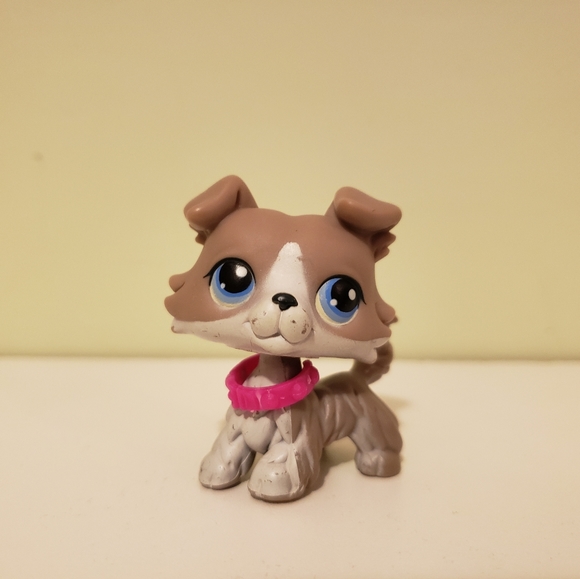 Authentic collie #67 - Picture 1 of 5